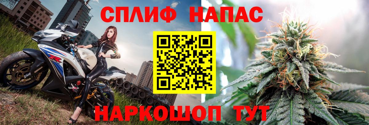 Конопля OG Kush Волхов